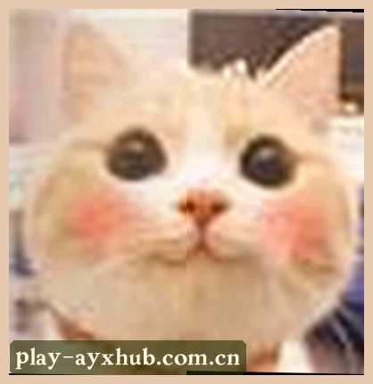 林薇